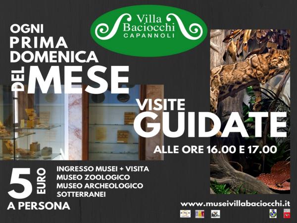 DOMENICHE GUIDATE IN MUSEO