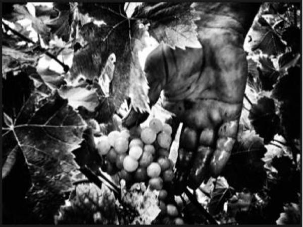Mostra fotografica - De Muscat et Cortiça (Francia/Italia)