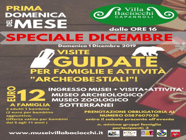 Domenica al Museo- Speciale Dicembre